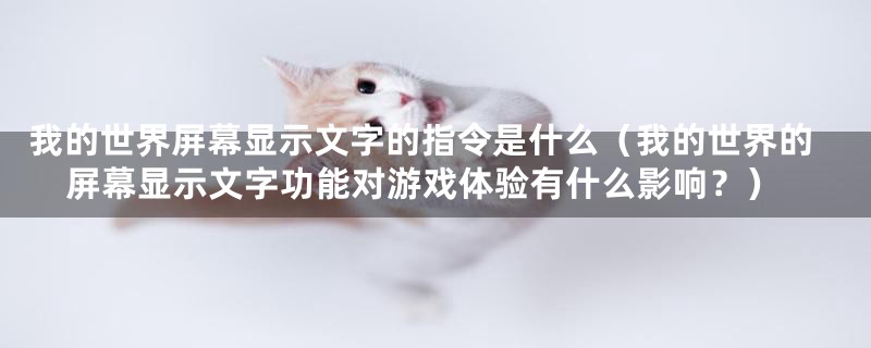 我的世界屏幕显示文字的指令是什么（我的世界的屏幕显示文字功能对游戏体验有什么影响？）