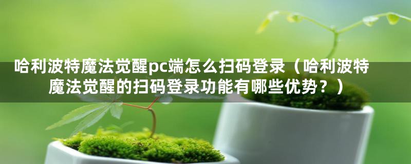 哈利波特魔法觉醒pc端怎么扫码登录（哈利波特魔法觉醒的扫码登录功能有哪些优势？）