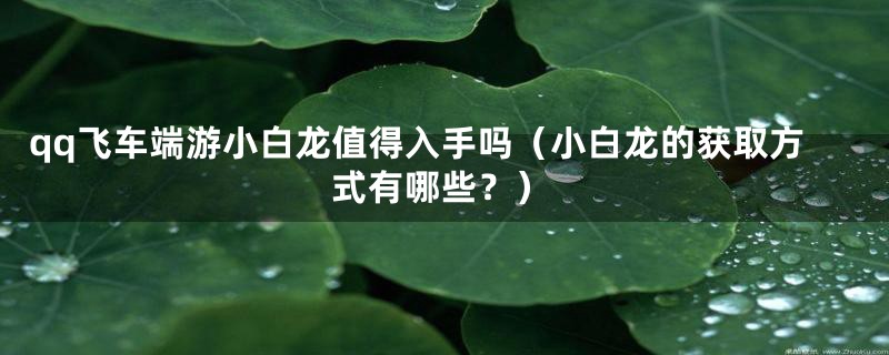 qq飞车端游小白龙值得入手吗（小白龙的获取方式有哪些？）