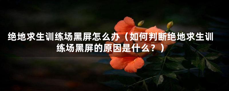 绝地求生训练场黑屏怎么办（如何判断绝地求生训练场黑屏的原因是什么？）