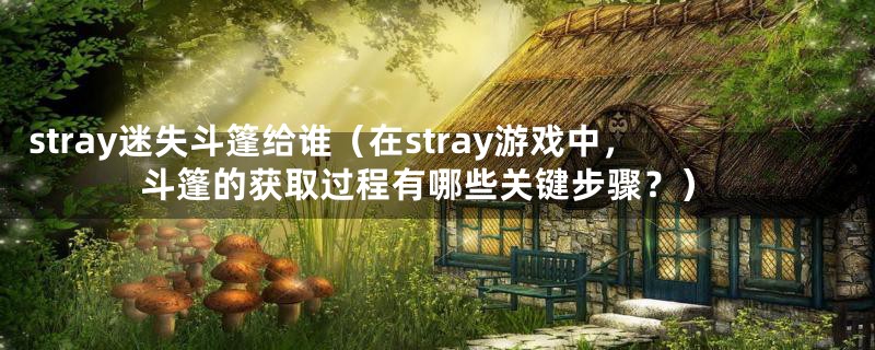 stray迷失斗篷给谁（在stray游戏中，斗篷的获取过程有哪些关键步骤？）