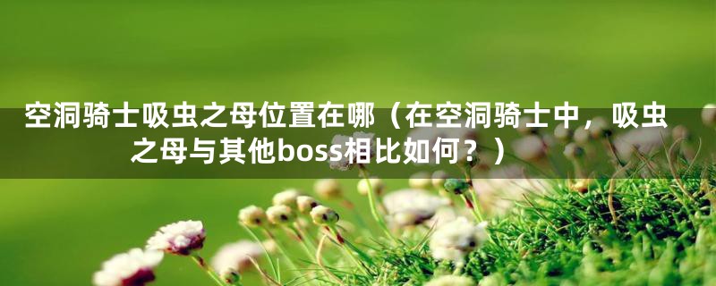 空洞骑士吸虫之母位置在哪（在空洞骑士中，吸虫之母与其他boss相比如何？）