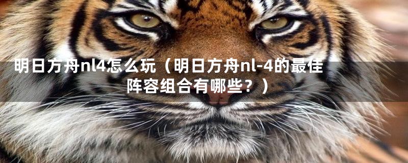 明日方舟nl4怎么玩（明日方舟nl-4的最佳阵容组合有哪些？）