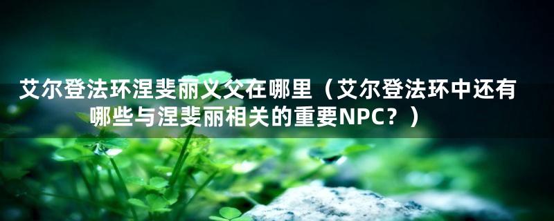 艾尔登法环涅斐丽义父在哪里（艾尔登法环中还有哪些与涅斐丽相关的重要NPC？）