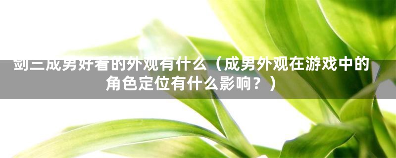 剑三成男好看的外观有什么（成男外观在游戏中的角色定位有什么影响？）