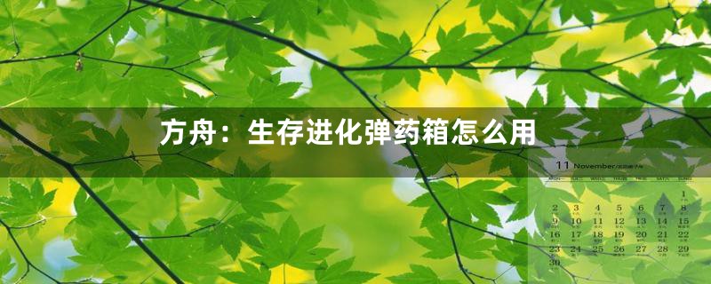 方舟：生存进化弹药箱怎么用