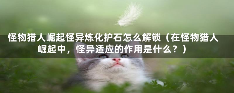 怪物猎人崛起怪异炼化护石怎么解锁（在怪物猎人崛起中，怪异适应的作用是什么？）