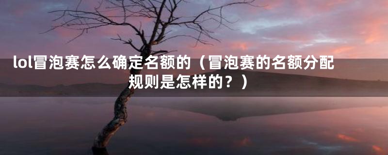 lol冒泡赛怎么确定名额的（冒泡赛的名额分配规则是怎样的？）