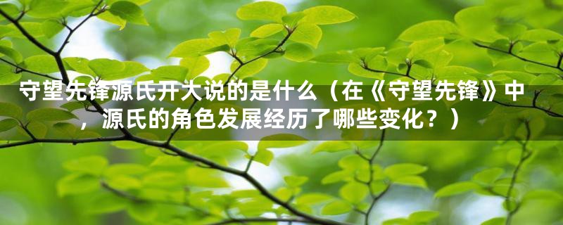 守望先锋源氏开大说的是什么（在《守望先锋》中，源氏的角色发展经历了哪些变化？）