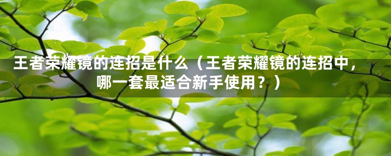 王者荣耀镜的连招是什么（王者荣耀镜的连招中，哪一套最适合新手使用？）