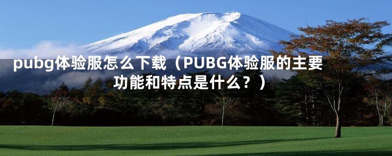 pubg体验服怎么下载（PUBG体验服的主要功能和特点是什么？）