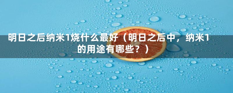 明日之后纳米1烧什么最好（明日之后中，纳米1的用途有哪些？）