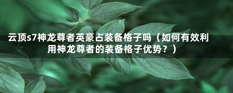 云顶s7神龙尊者英豪占装备格子吗（如何有效利用神龙尊者的装备格子优势？）