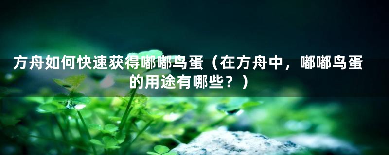 方舟如何快速获得嘟嘟鸟蛋（在方舟中，嘟嘟鸟蛋的用途有哪些？）