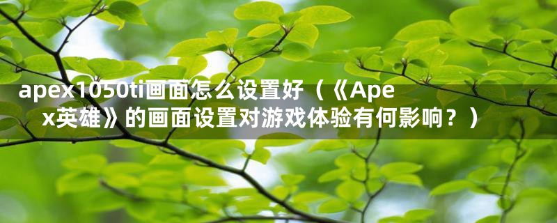 apex1050ti画面怎么设置好（《Apex英雄》的画面设置对游戏体验有何影响？）