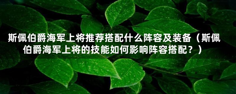 斯佩伯爵海军上将推荐搭配什么阵容及装备（斯佩伯爵海军上将的技能如何影响阵容搭配？）