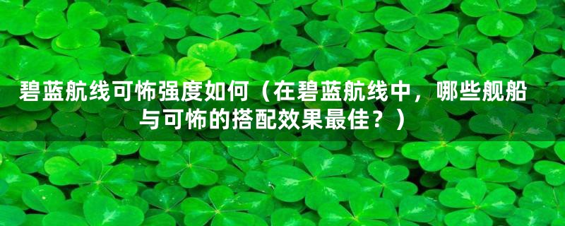 碧蓝航线可怖强度如何（在碧蓝航线中，哪些舰船与可怖的搭配效果最佳？）