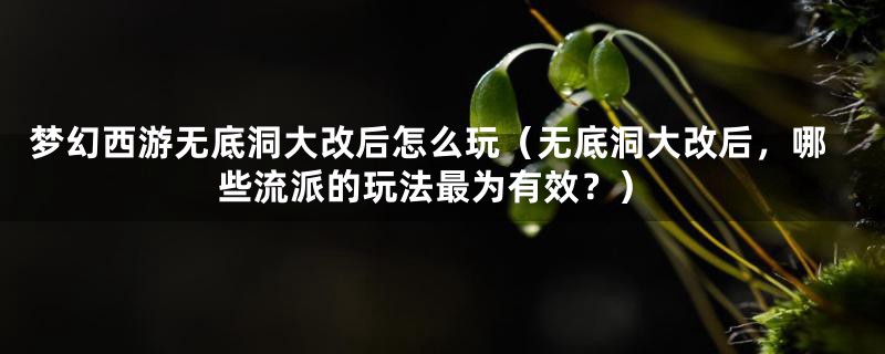 梦幻西游无底洞大改后怎么玩（无底洞大改后，哪些流派的玩法最为有效？）