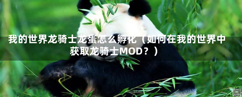 我的世界龙骑士龙蛋怎么孵化（如何在我的世界中获取龙骑士MOD？）