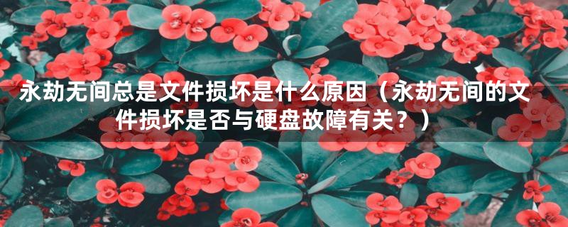 永劫无间总是文件损坏是什么原因（永劫无间的文件损坏是否与硬盘故障有关？）