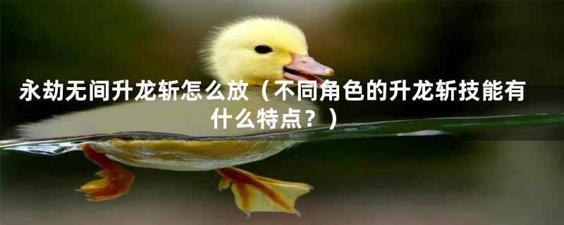 永劫无间升龙斩怎么放（不同角色的升龙斩技能有什么特点？）