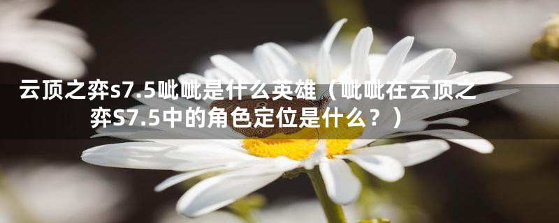 云顶之弈s7.5呲呲是什么英雄（呲呲在云顶之弈S7.5中的角色定位是什么？）