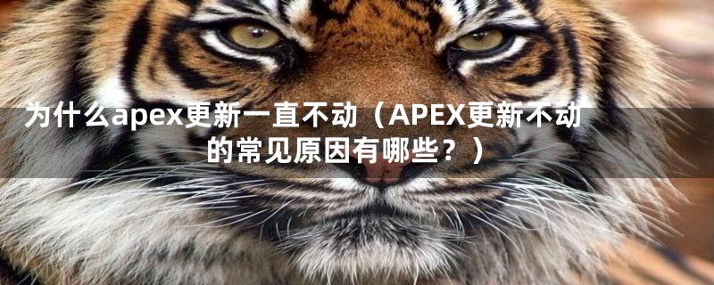 为什么apex更新一直不动（APEX更新不动的常见原因有哪些？）