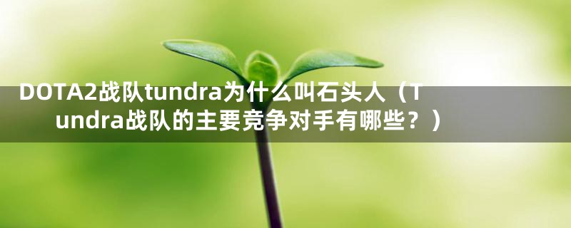 DOTA2战队tundra为什么叫石头人（Tundra战队的主要竞争对手有哪些？）