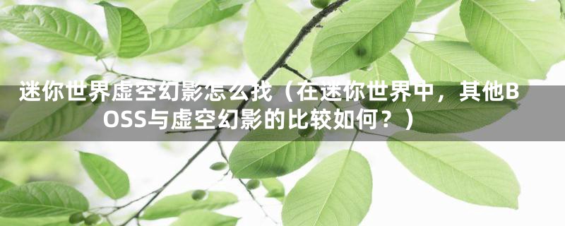 迷你世界虚空幻影怎么找（在迷你世界中，其他BOSS与虚空幻影的比较如何？）