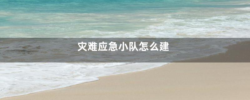 灾难应急小队怎么建