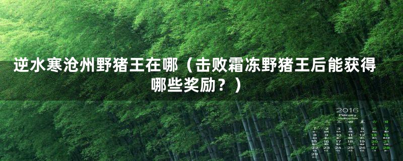 逆水寒沧州野猪王在哪（击败霜冻野猪王后能获得哪些奖励？）