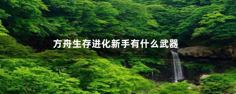 方舟生存进化新手有什么武器