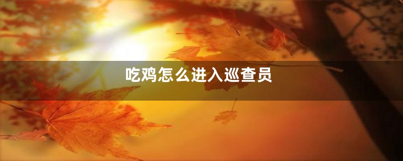 吃鸡怎么进入巡查员