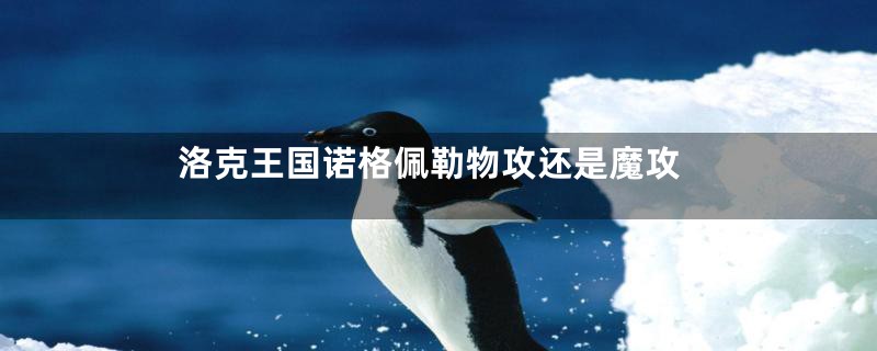 洛克王国诺格佩勒物攻还是魔攻