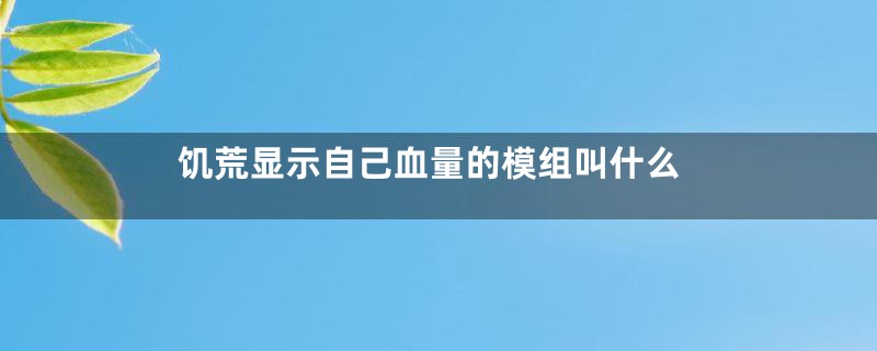 饥荒显示自己血量的模组叫什么