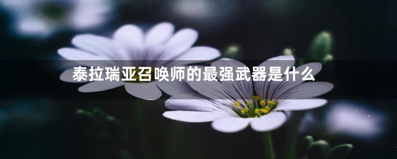 泰拉瑞亚召唤师的最强武器是什么