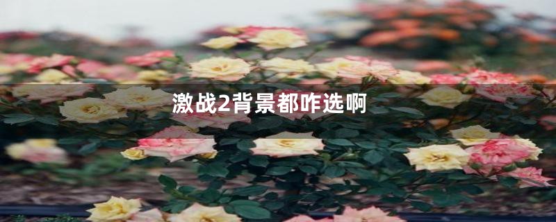 激战2背景都咋选啊