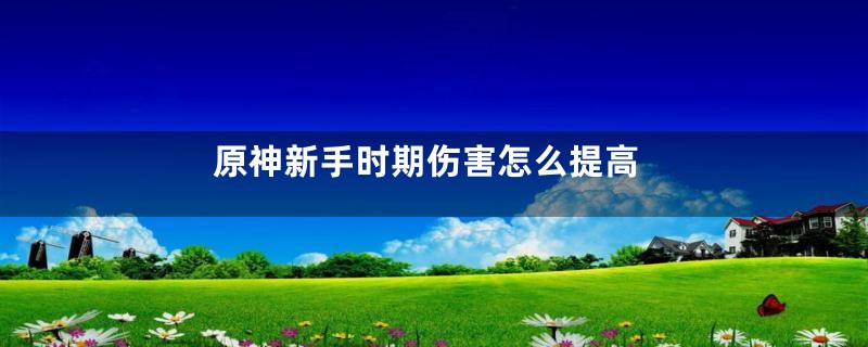 原神新手时期伤害怎么提高