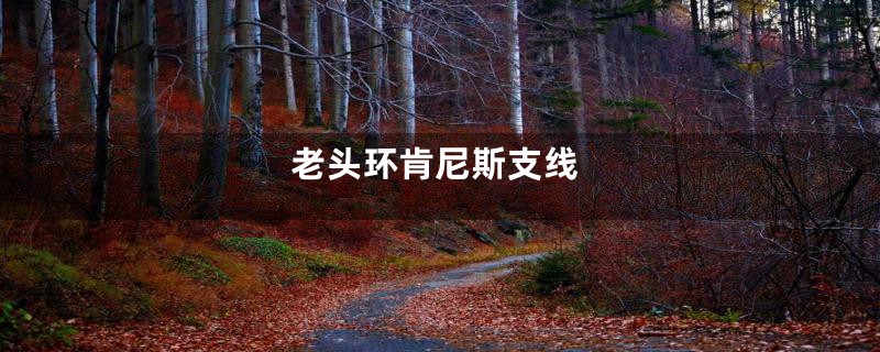 老头环肯尼斯支线
