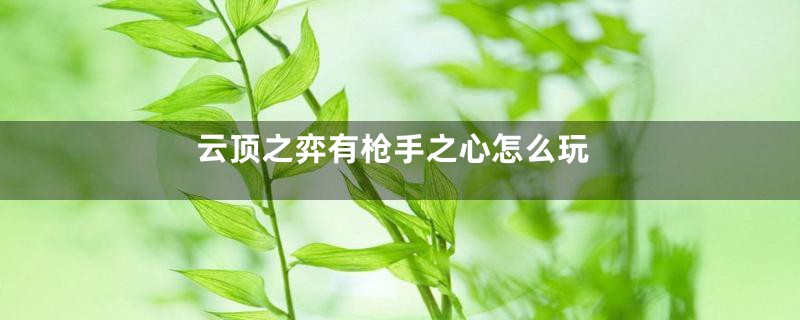 云顶之弈有枪手之心怎么玩