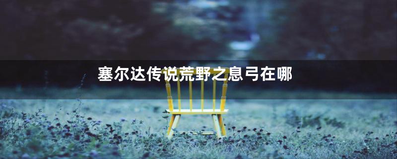 塞尔达传说荒野之息弓在哪