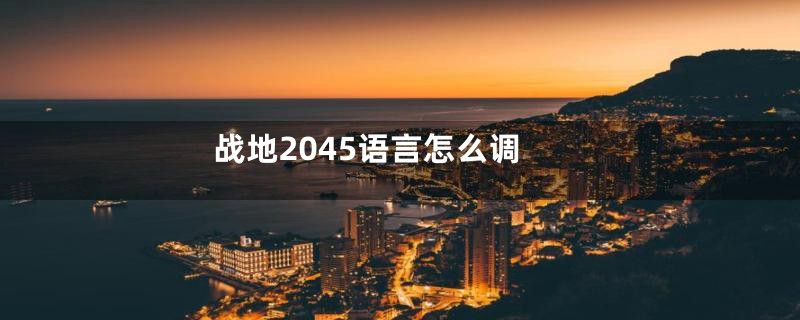 战地2045语言怎么调