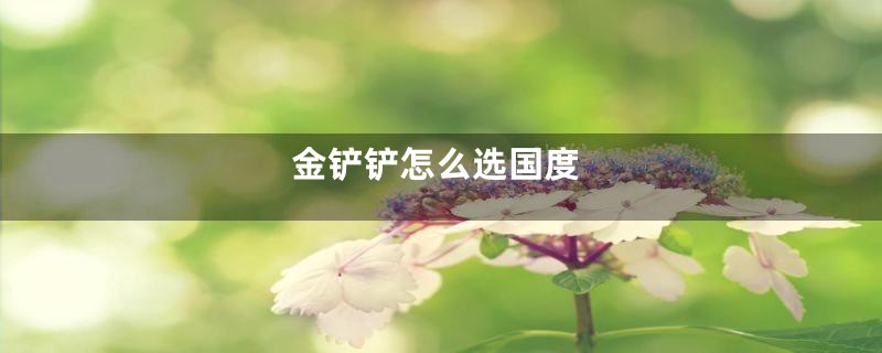 金铲铲怎么选国度