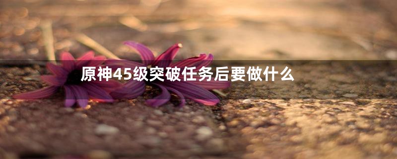 原神45级突破任务后要做什么