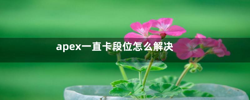 apex一直卡段位怎么解决