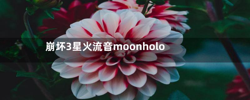 崩坏3星火流音moonholo