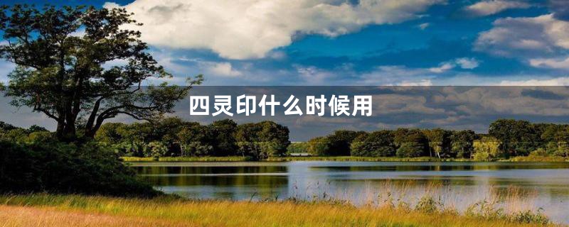 四灵印什么时候用