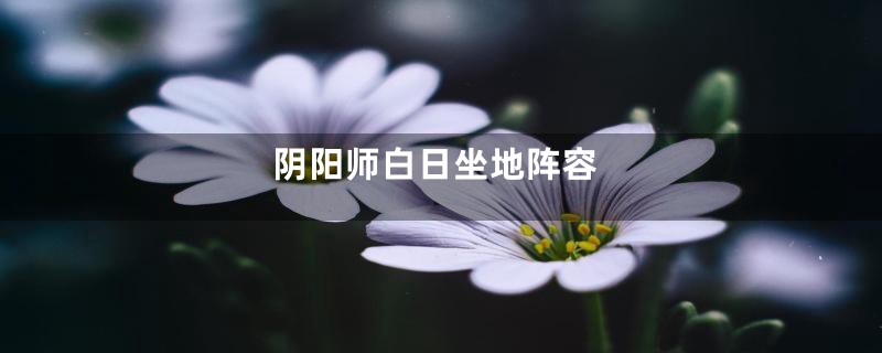 阴阳师白日坐地阵容