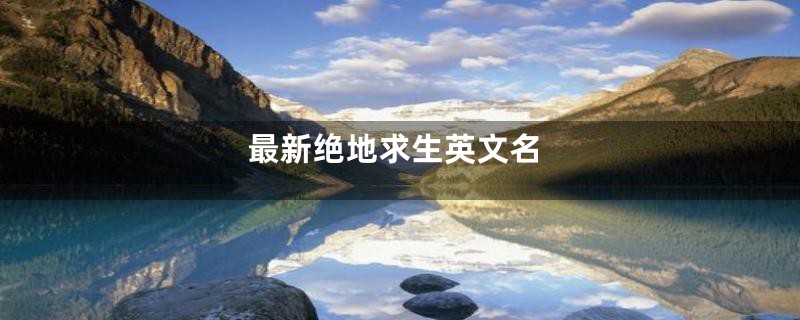 最新绝地求生英文名