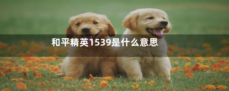 和平精英1539是什么意思